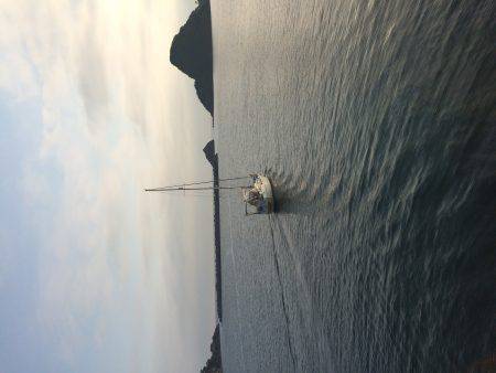 アジ釣り４日連続