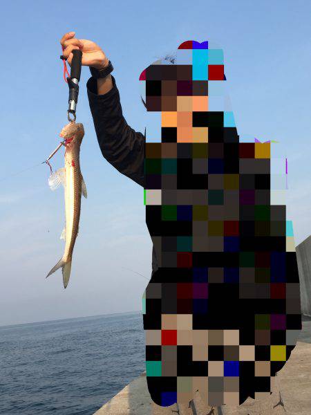 ライトショアジギング