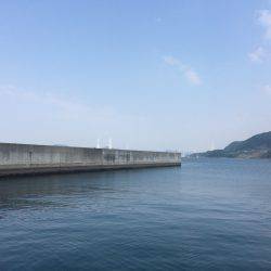 安定です、ガシラ様