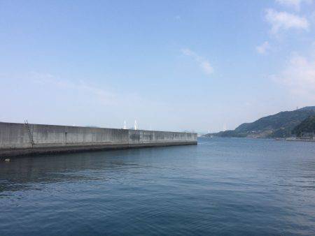 安定です、ガシラ様