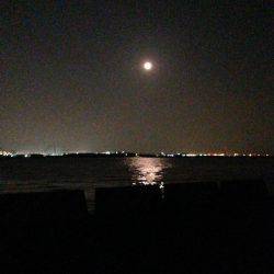 シマイサキ狙い！