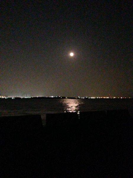 シマイサキ狙い！