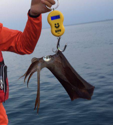 イカダでヤエン