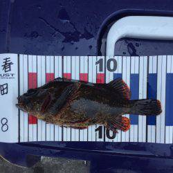 短時間で根魚など