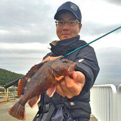 釣り解放区&魚釣り園護岸の昼下がり!