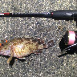 外道で終了です。