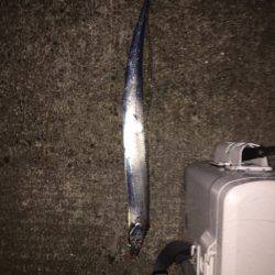 サイズダウン？