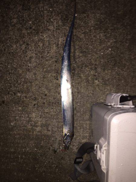 サイズダウン？