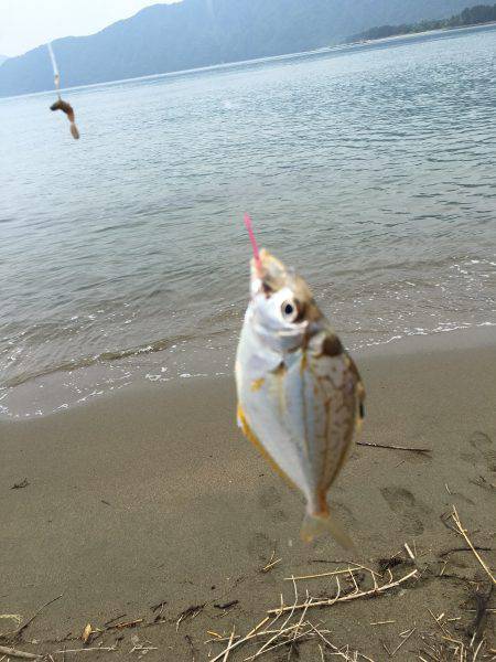 ちょい投げでキス