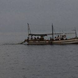 手応え抜群⁉️