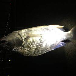 気持ちいい日曜日の朝