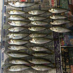 ファミリーフィッシング