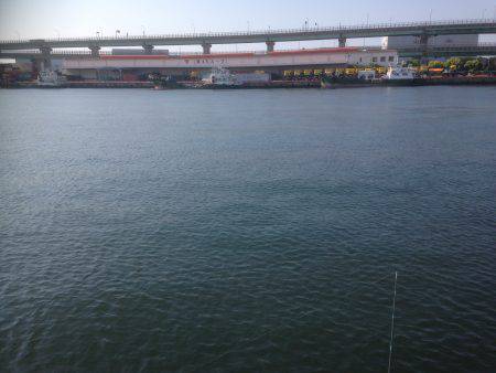 コウイカリベンジ