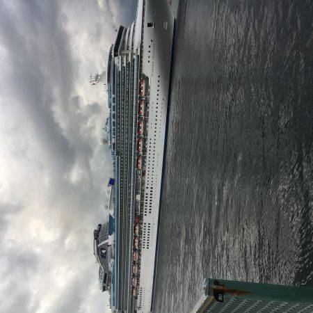 アジを探してます