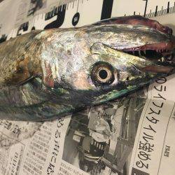 のんびりが一番！