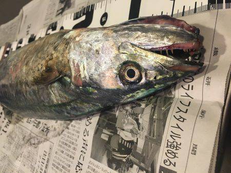 のんびりが一番！