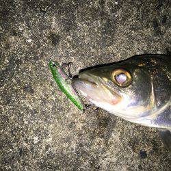 チーバスフラッターゲーム