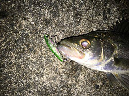 チーバスフラッターゲーム