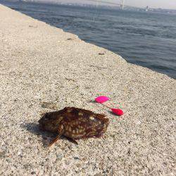 淡路島ランガン！