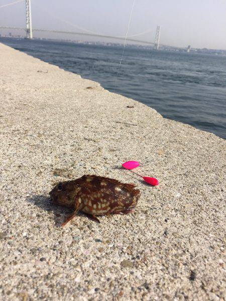 淡路島ランガン！