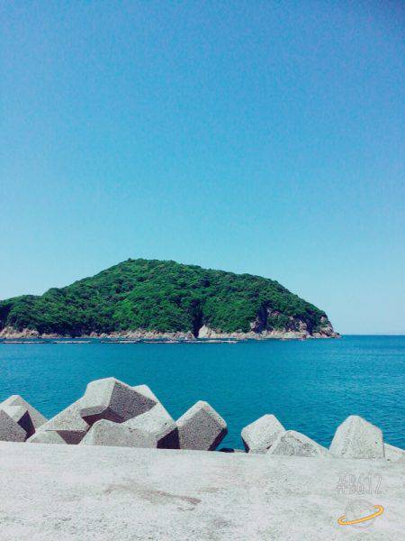 やっときた！アコウ