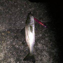 バチゲーム楽しみました^_^