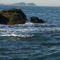 こどもの日のサビキ釣り