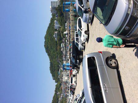 GWイワシで大賑わいです