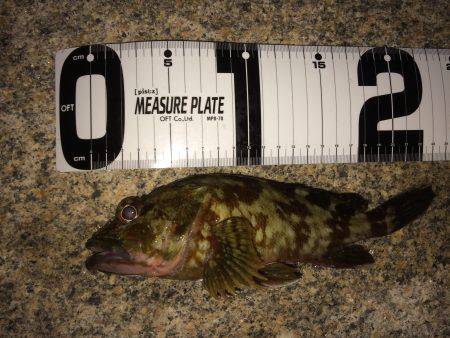 岬ランガンメバリング