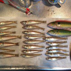 酒のアテくらいには、、、