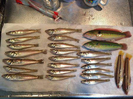 酒のアテくらいには、、、