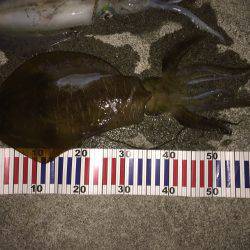 久しぶりに爆烈