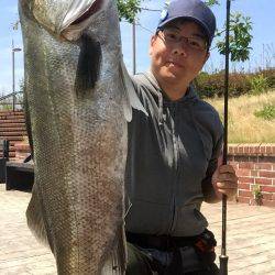 湾奥河川偵察！