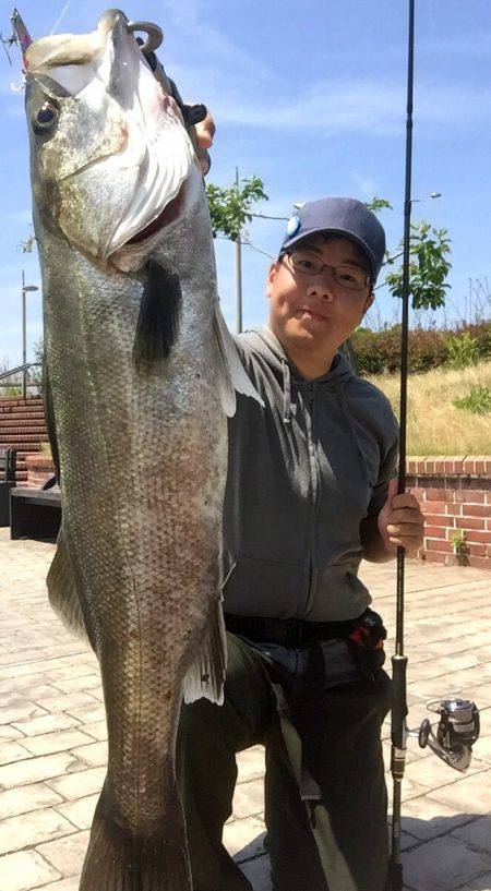 湾奥河川偵察！