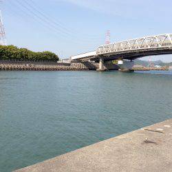 ファミリーフィッシング!