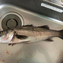 今期初の神戸沖堤へ