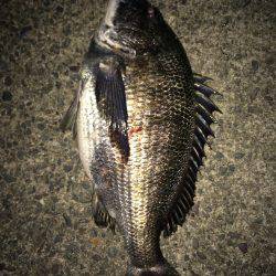 倶楽部通信 副部長婦人ミラクル2発