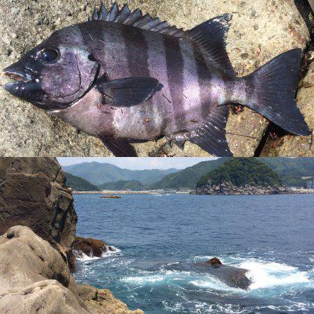 石鯛釣り