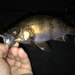 フロートandプラッキング