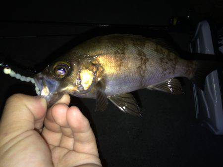 フロートandプラッキング