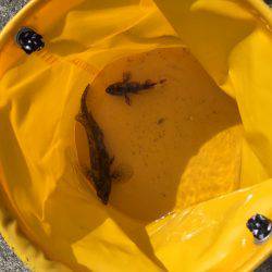 強風の中でちょい投げなど