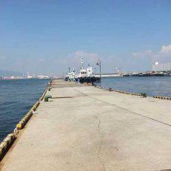 スーパーライトショアジギング？