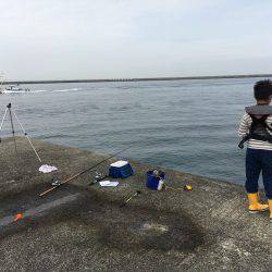 エビ撒きでハネがほしかったんですが