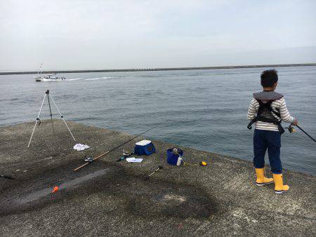 エビ撒きでハネがほしかったんですが