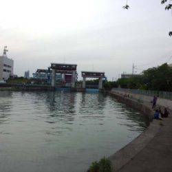 大阪のど真ん中で、アユ釣りをする。