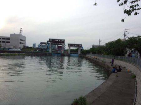 大阪のど真ん中で、アユ釣りをする。