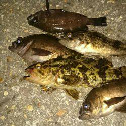 メバリング絶好調