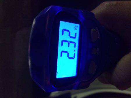 夕マズメ一発！