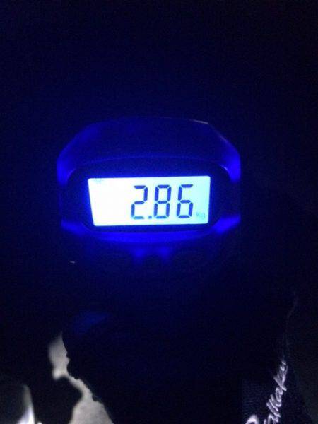 デカイカゲットぉ～～！