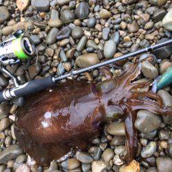 キロ足りナーズ